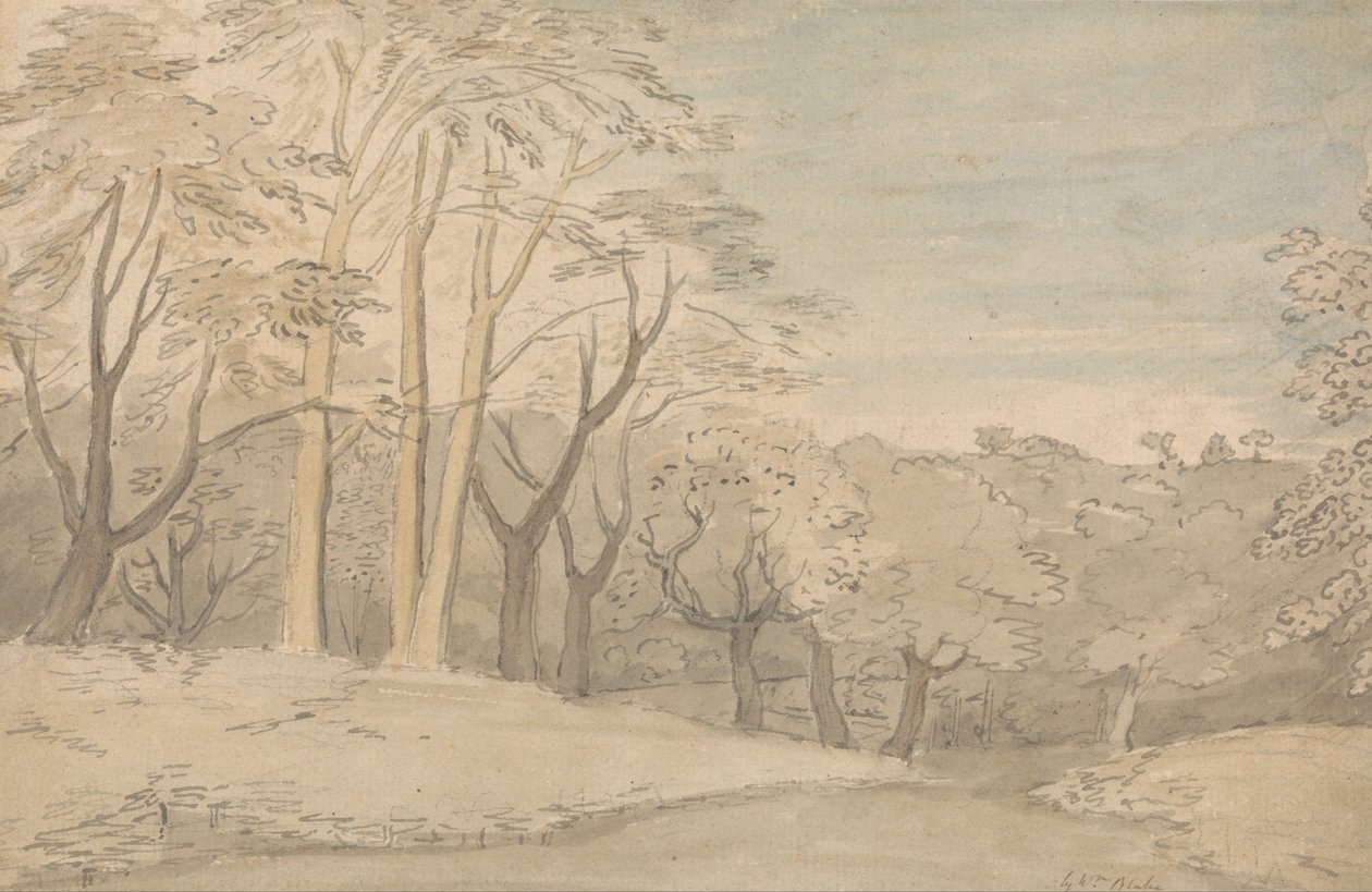Odunsu Bir Manzara by William Blake