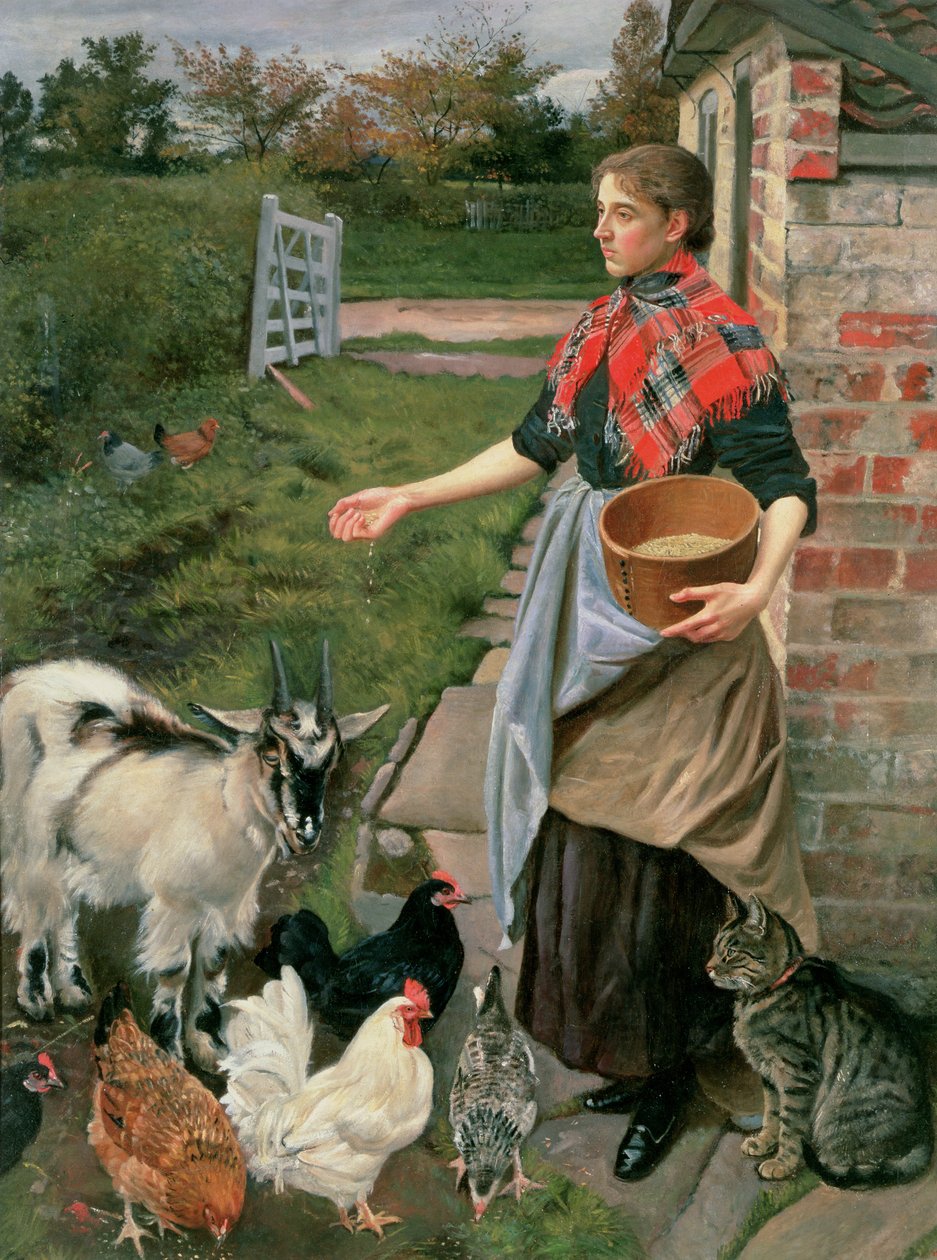 ಚಿಕನ್‌ಸ್ಟರ್ಕ್‌ಗೆ ಆಹಾರ ನೀಡುವುದು by William Edward Millner