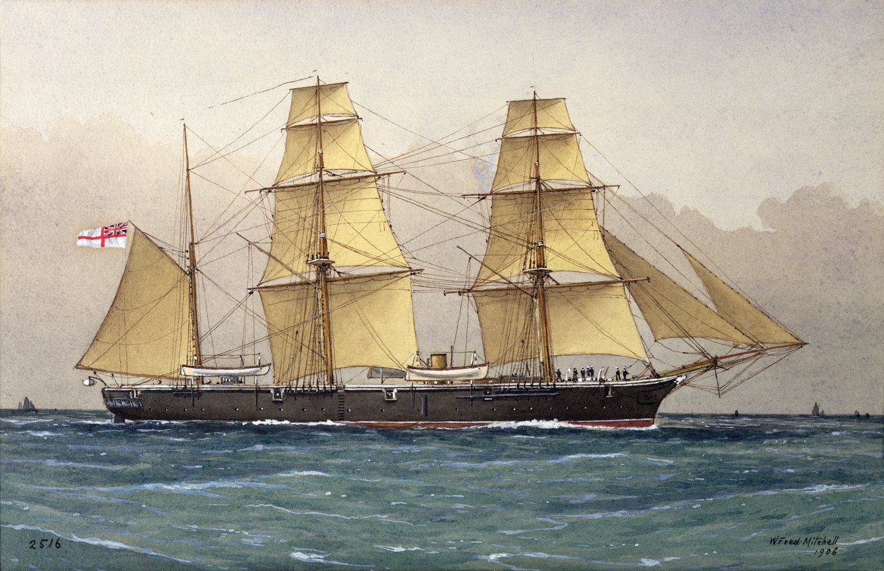 Vahşi Kuğu, 1906 by William Frederick Mitchell
