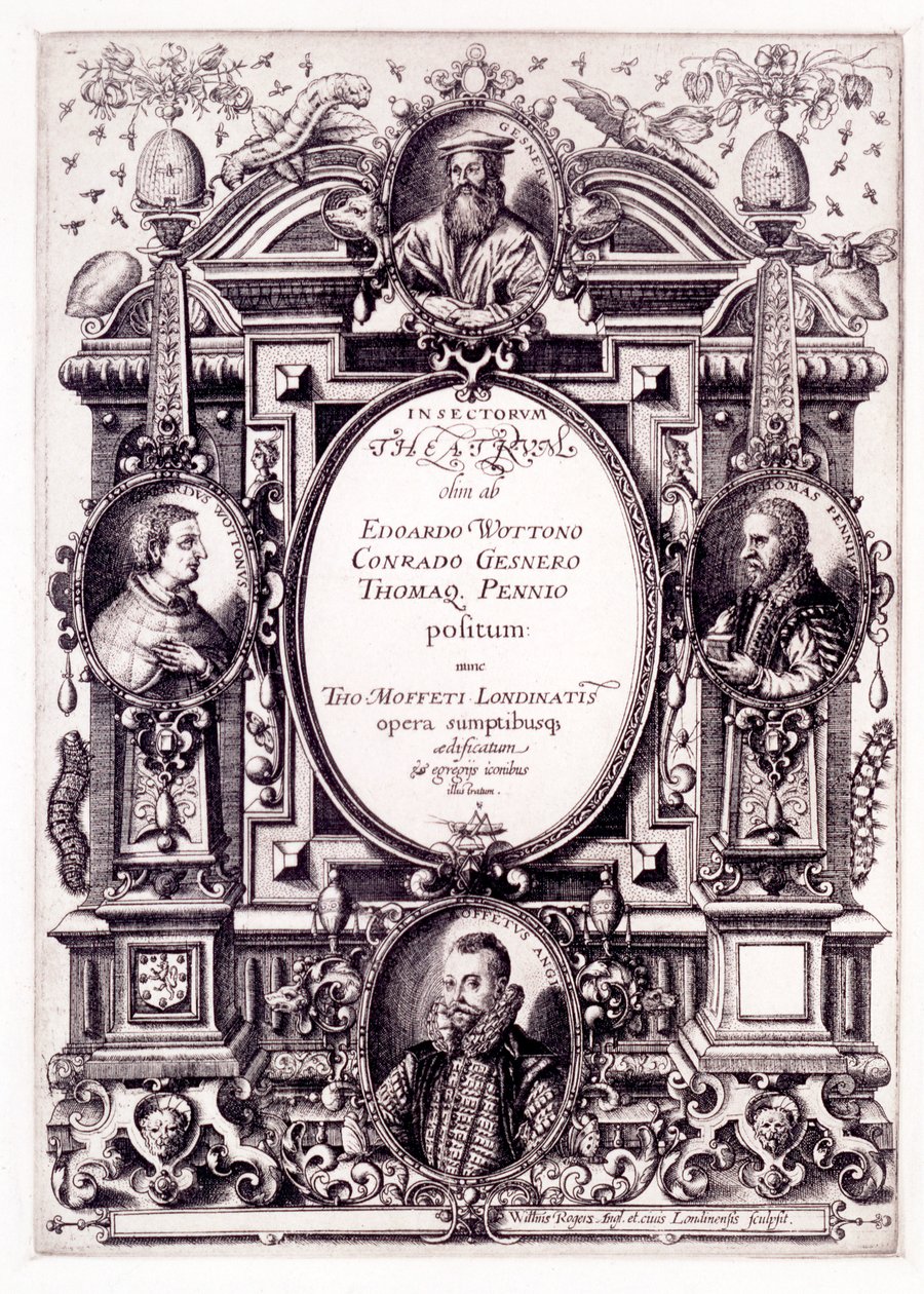 Masa Üstü Böcekler Tiyatrosu'nun Başlık Sayfası, 1590'ların sonu by William Rogers