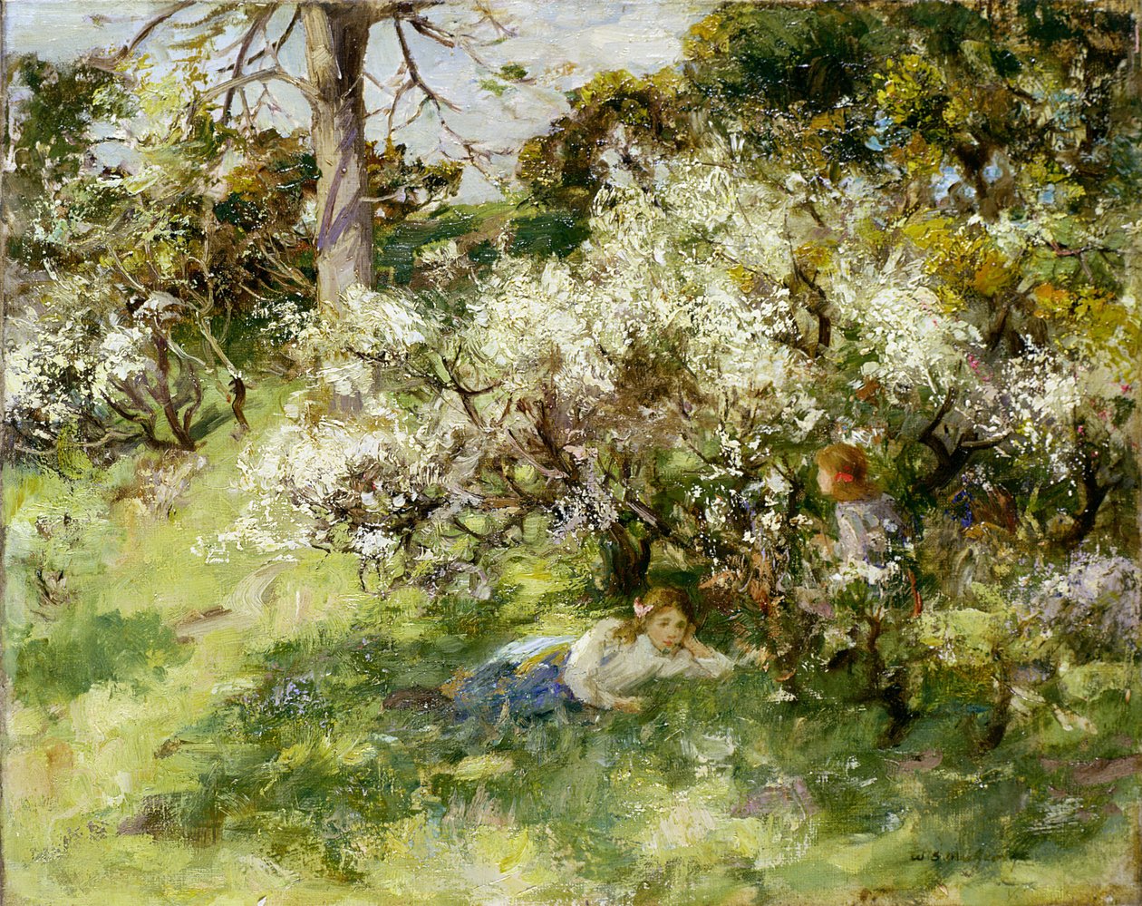 Sloe Çiçeği by William Stewart MacGeorge