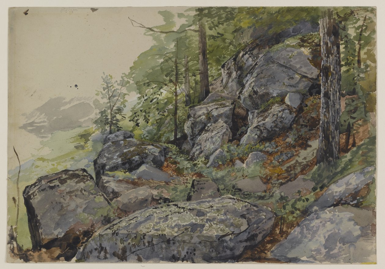 Woodland Boulders, c.1877-78 (dokulu dokuma kağıt üzerinde grafit üzerinde wc) by William Trost Richards