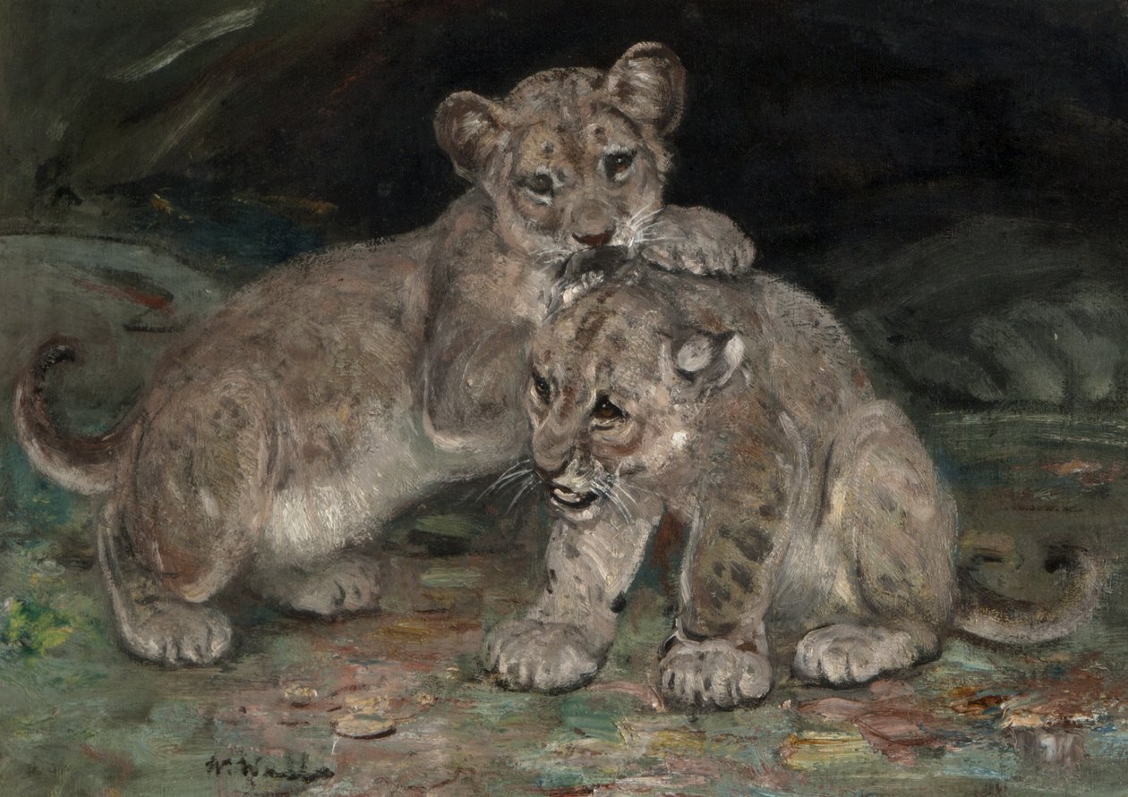 Aslan Yavruları, c.1906 by William Walls