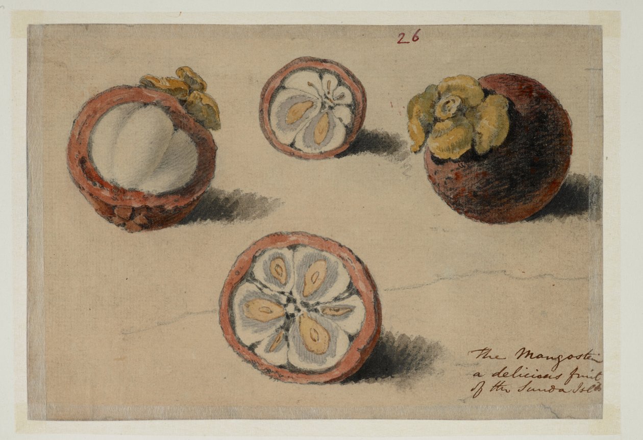 WD 961 f.26 by William Alexander