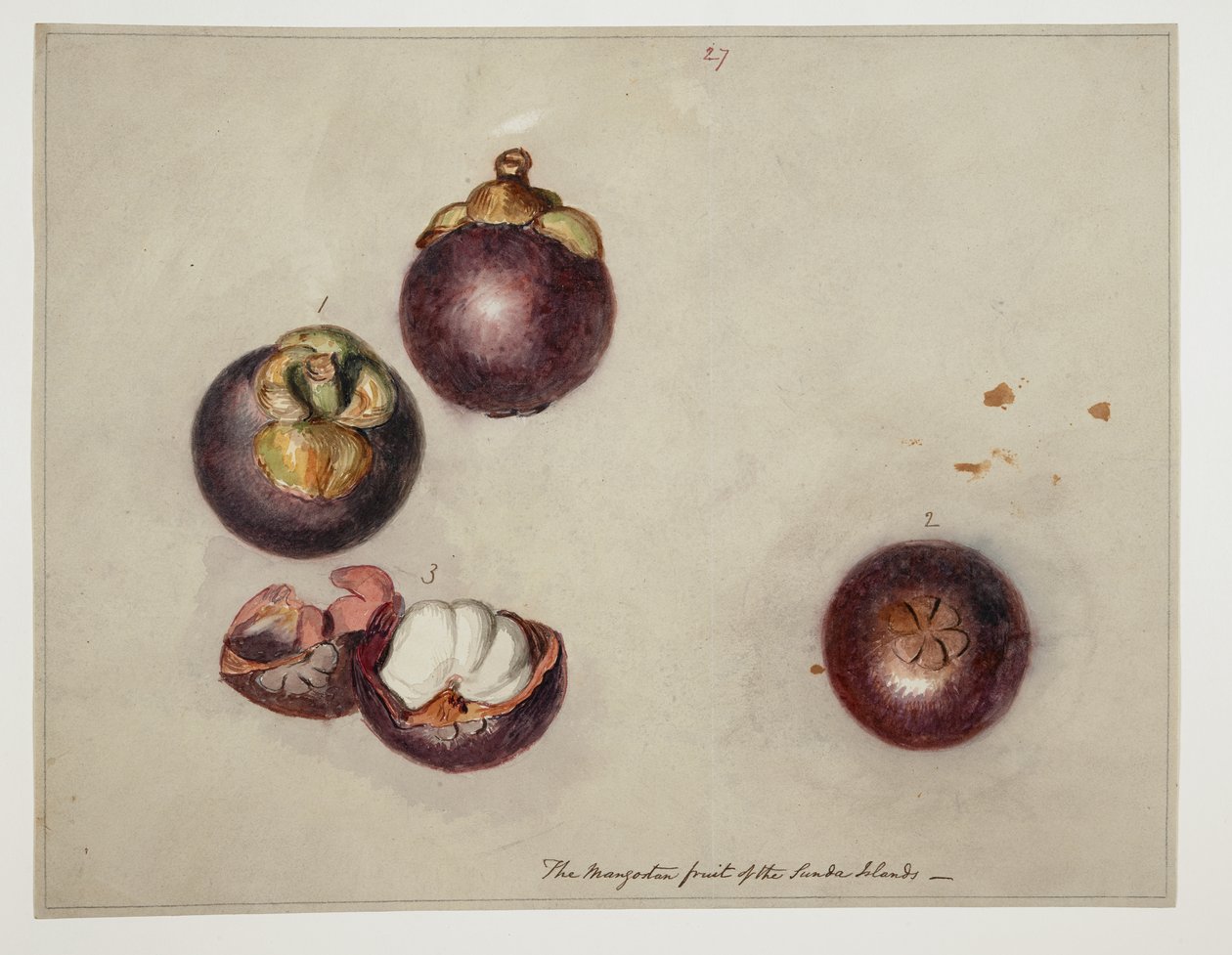 WD 961 f.27 by William Alexander