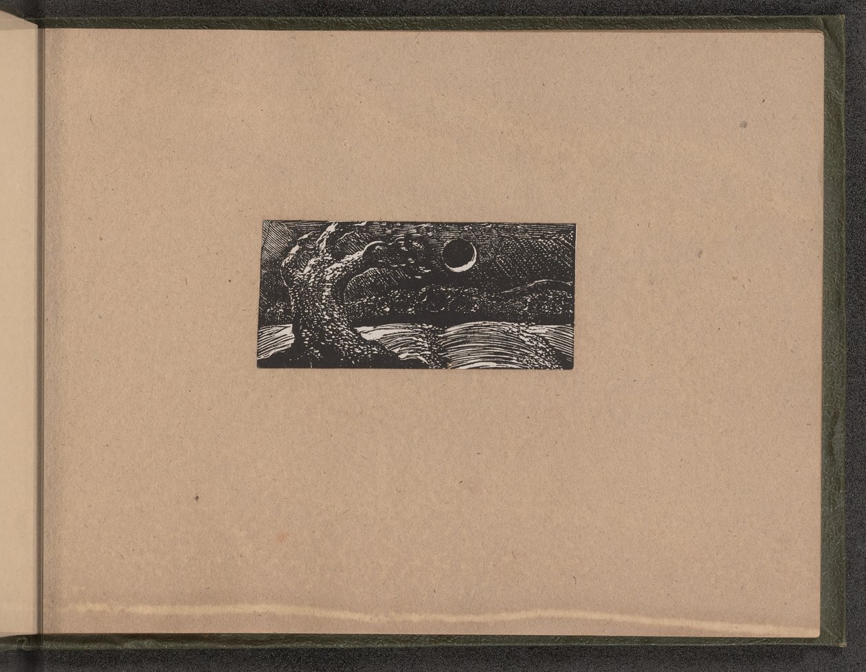 Püskürtülmüş Ağaç ve Yassılaştırılmış Bitkiler by William Blake