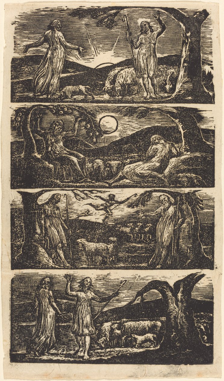 Virgil