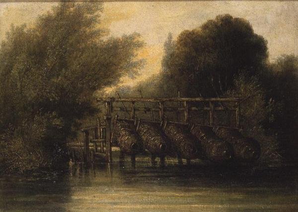 yılan balığı kapları by William Collins