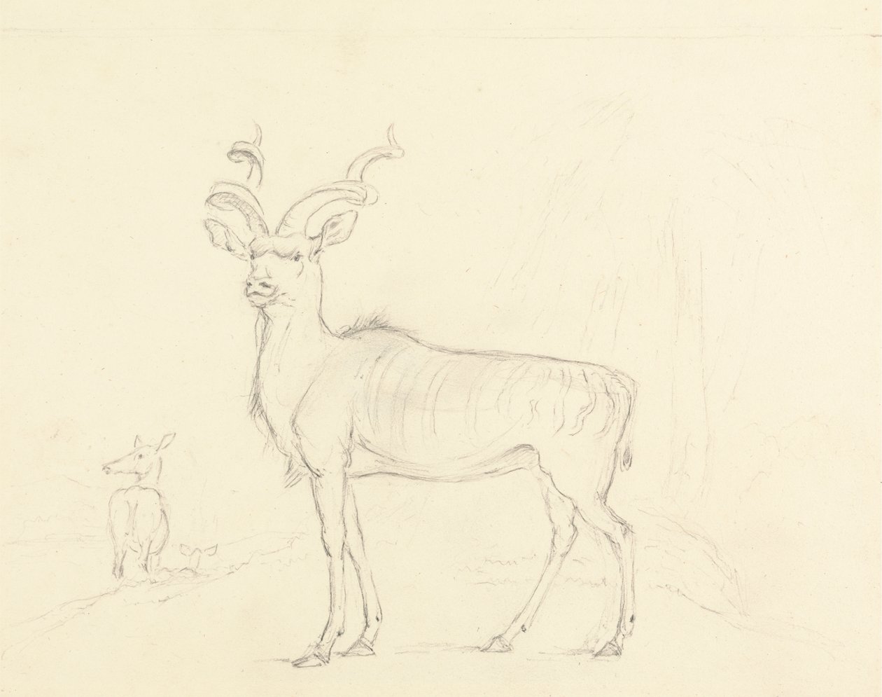 Koodoo by William Daniell