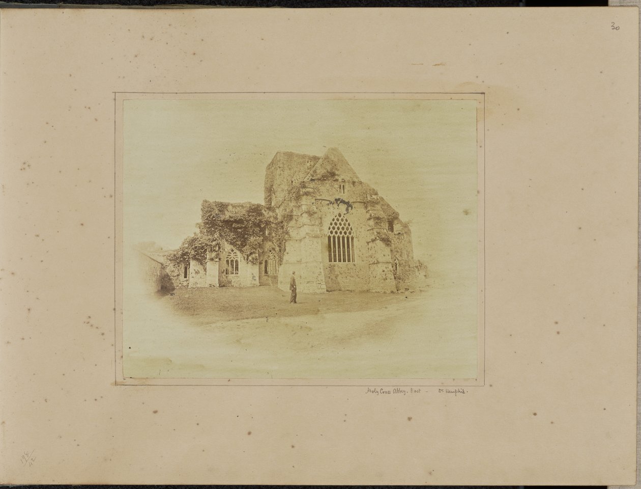  by William Despard Hemphill, M.D.