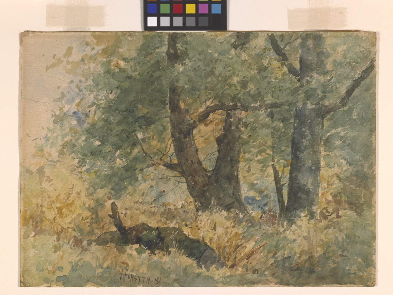 Orman Manzarası (suluboya) by William Forsyth