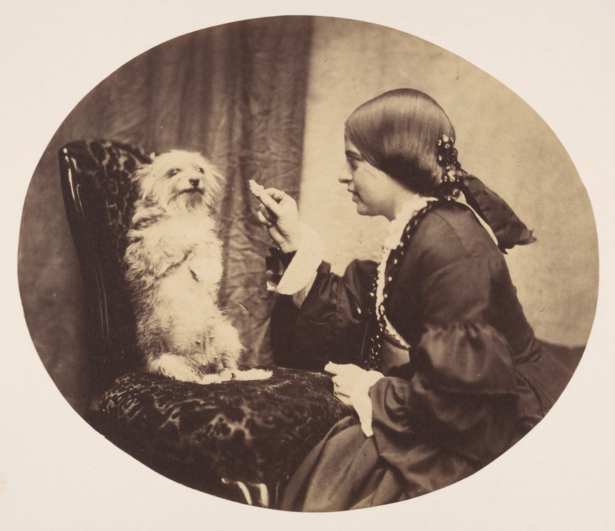 Ders, 1856. by William G. Campbell