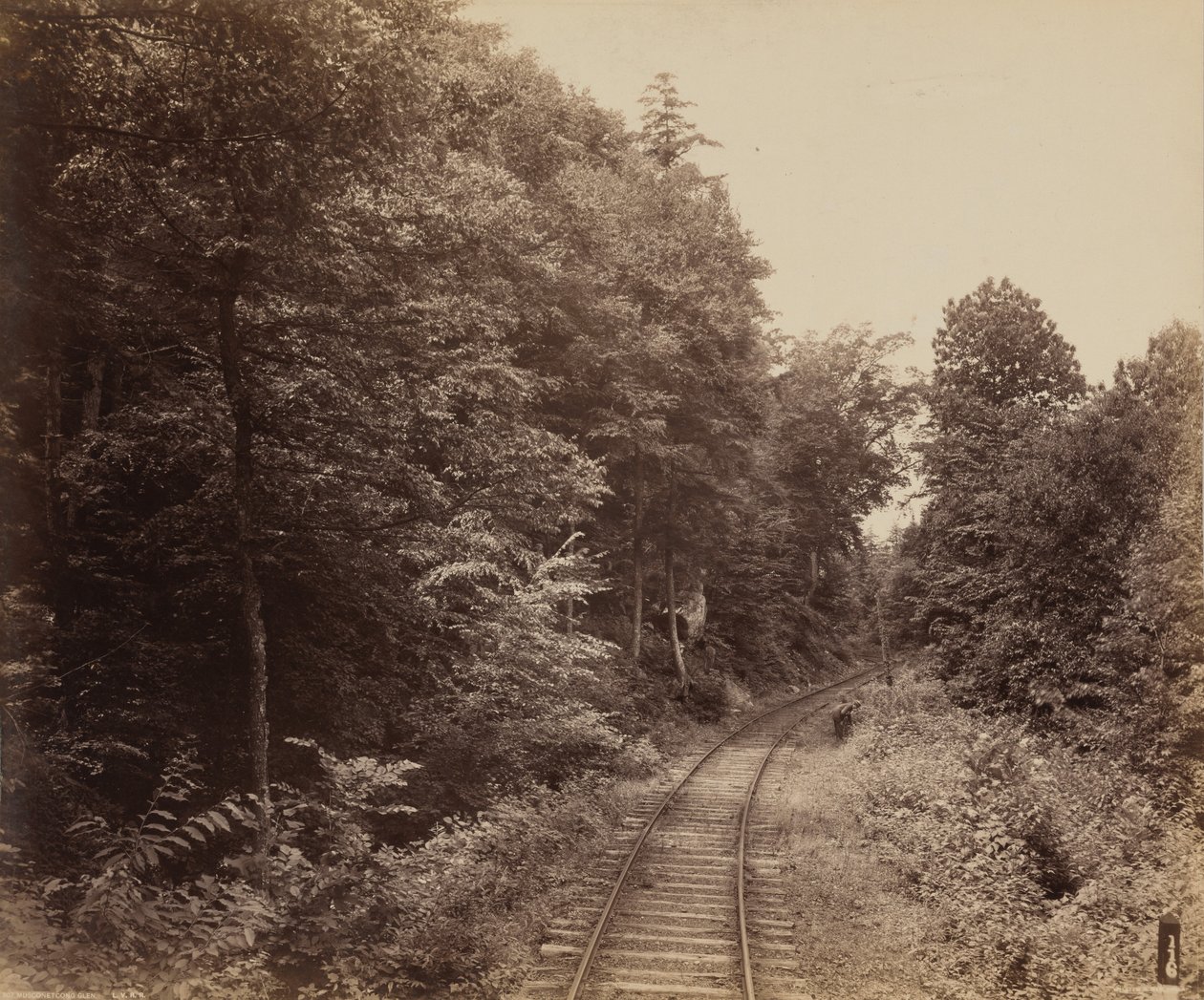 Musconetcong Glen by William H. Rau