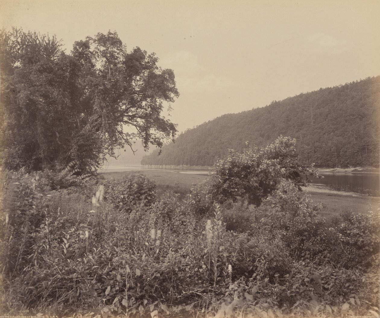 Wyalusing