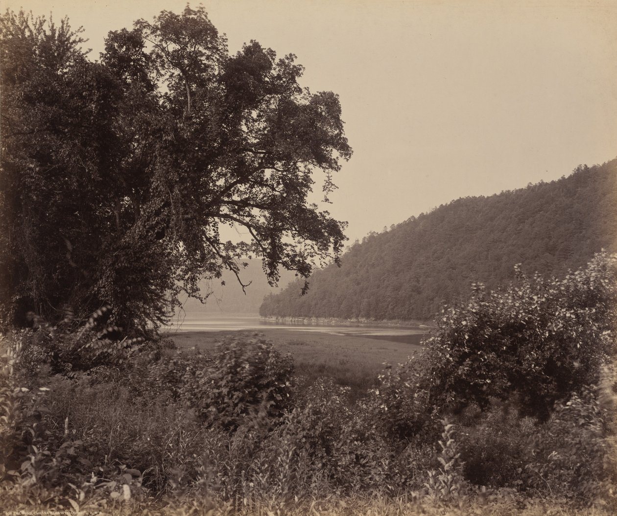 Susquehanna Yakın Wyalusing by William H. Rau