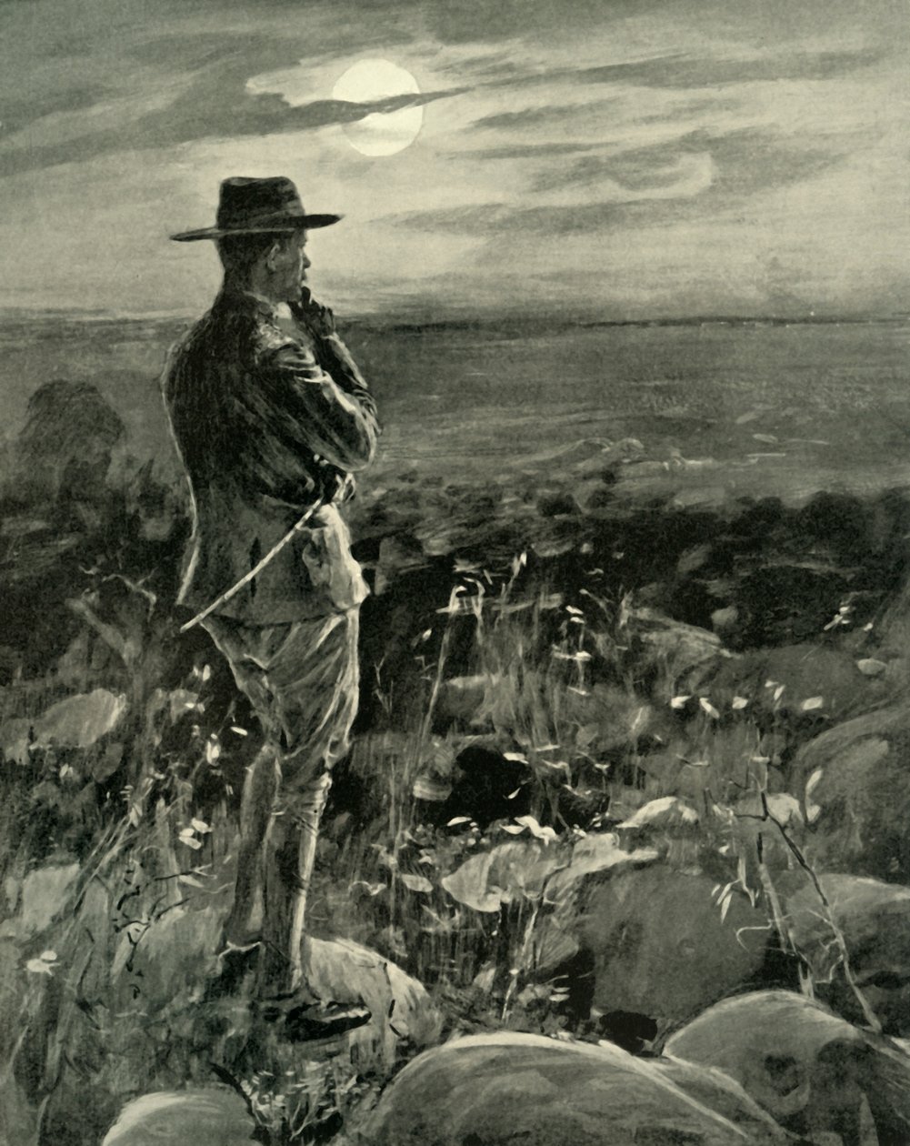 "Mafeking: Hiç Uyumayan Kurt", 1901. by William Hatherell