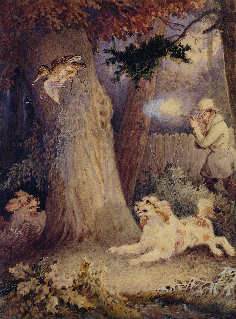 Woodcock Shooting (kağıt üzerinde wc ve gövde rengi) by William Heath