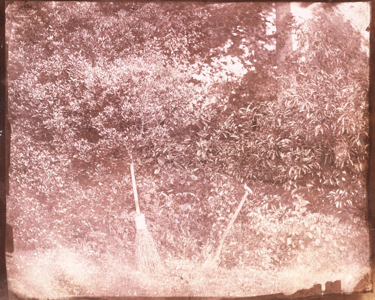 Süpürge ve Maça, 1842 by William Henry Fox Talbot