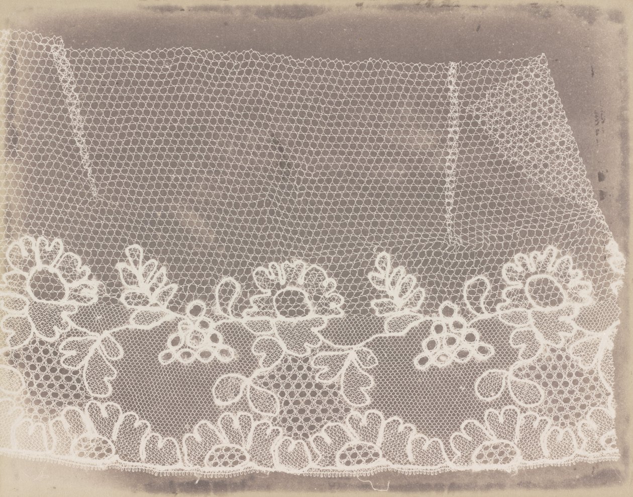 Dantel by William Henry Fox Talbot