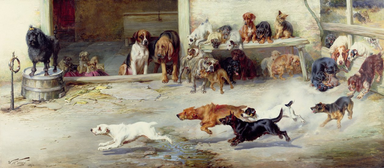 ಹಾಟ್ ಪರ್ಸ್ಯೂಟ್, 1894ಟರ್ಕ್ by William Henry Hamilton Trood