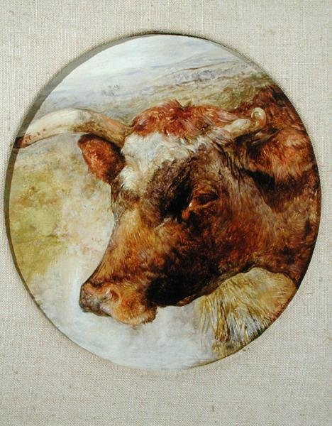 Longhorn İnek Başkanı by William Huggins