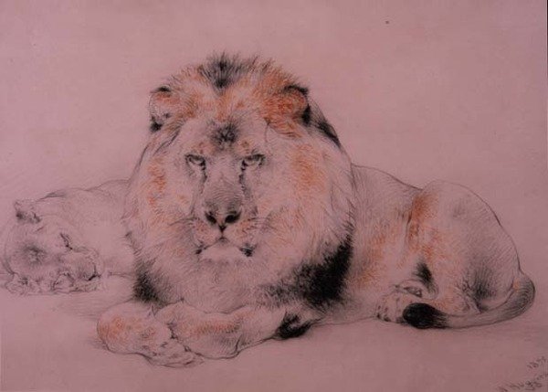 aslan ve dişi aslan by William Huggins