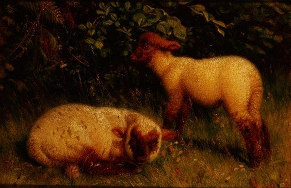 kuzular by William J. Webbe or Webb