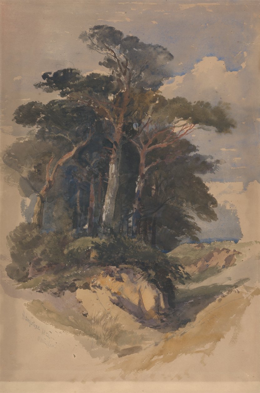 Hampstead Heath'teki Çamlar by William James Muller