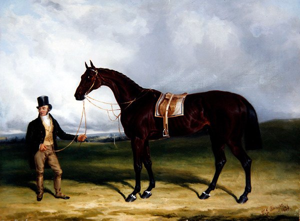 Bay Middleton, Derbinin Galibi by William Joseph Shayer