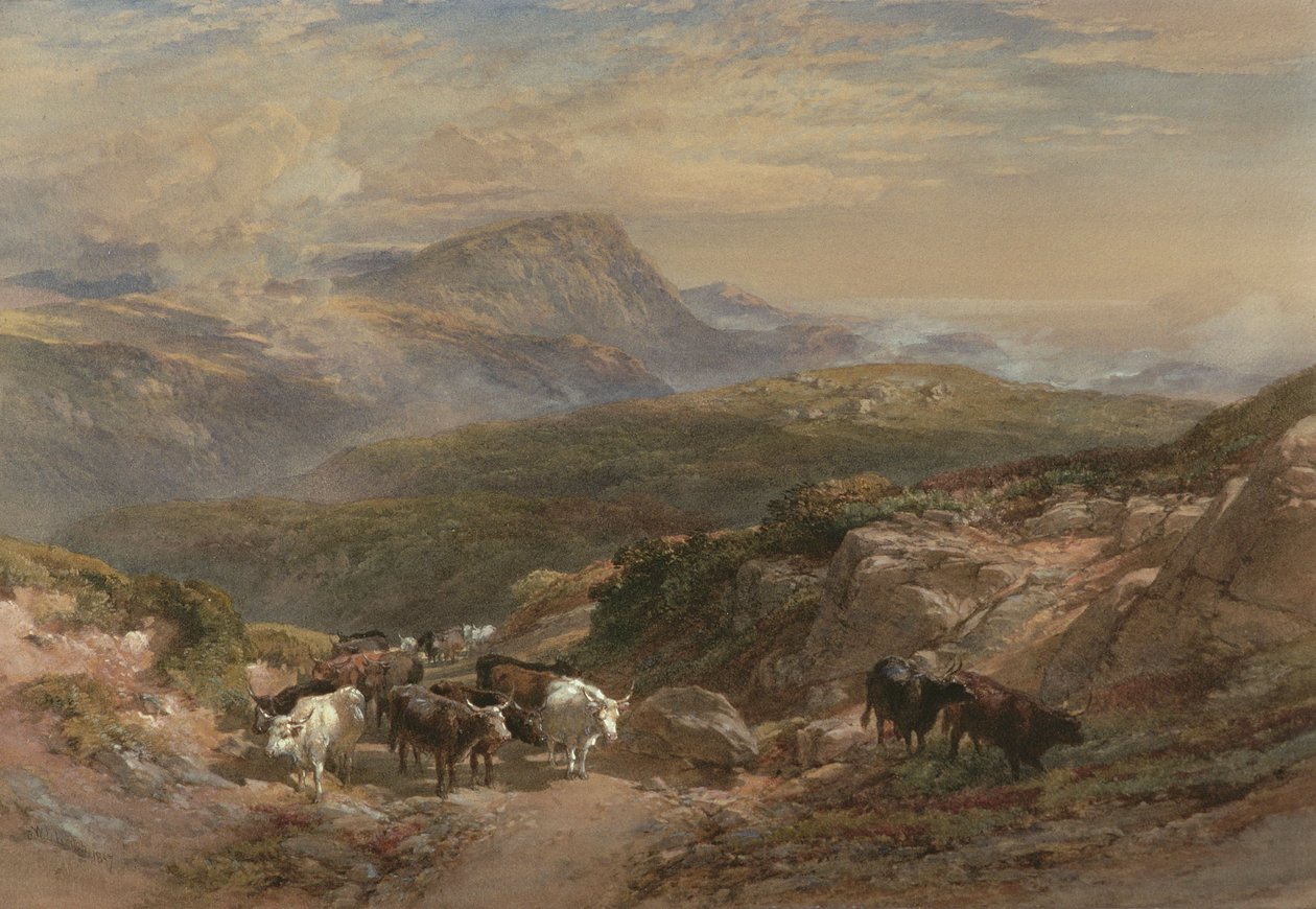 Highlands