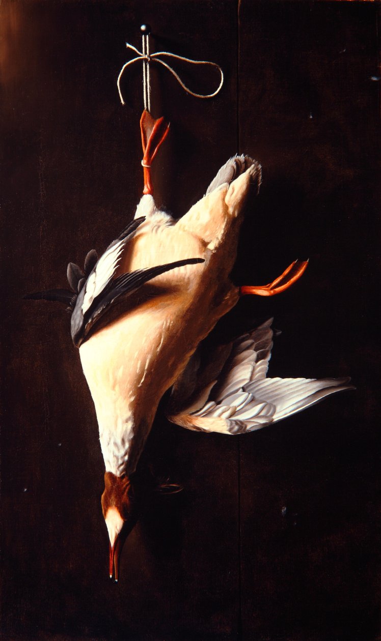 merganser by William Michael Harnett