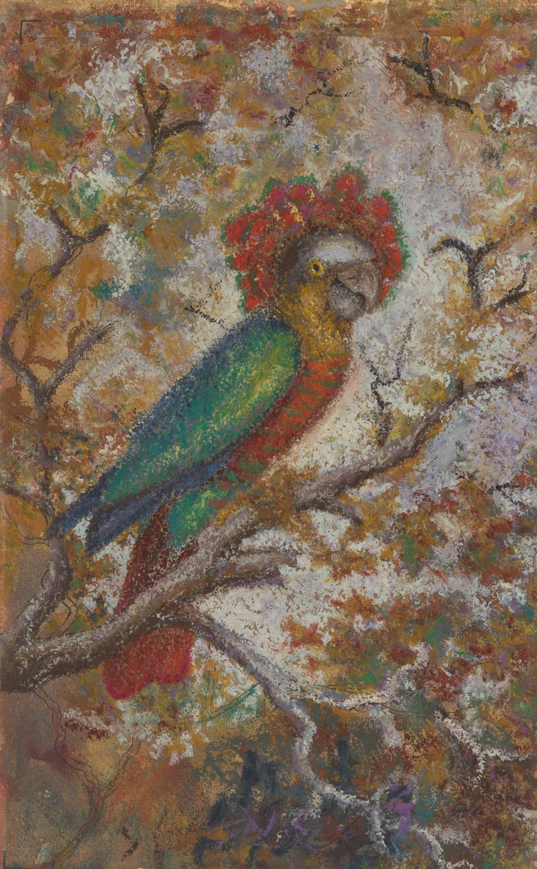 Papağan, 1909. by William N. Buckner