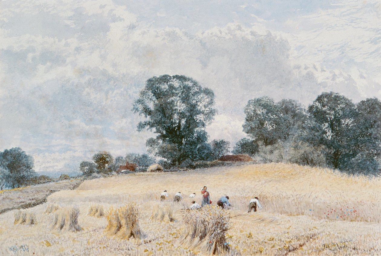 Hasat by William Paton Burton
