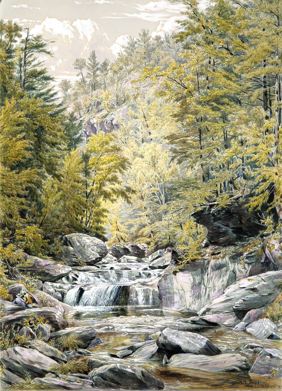 Catskill Karanfil, 1856. by William Rickarby Miller