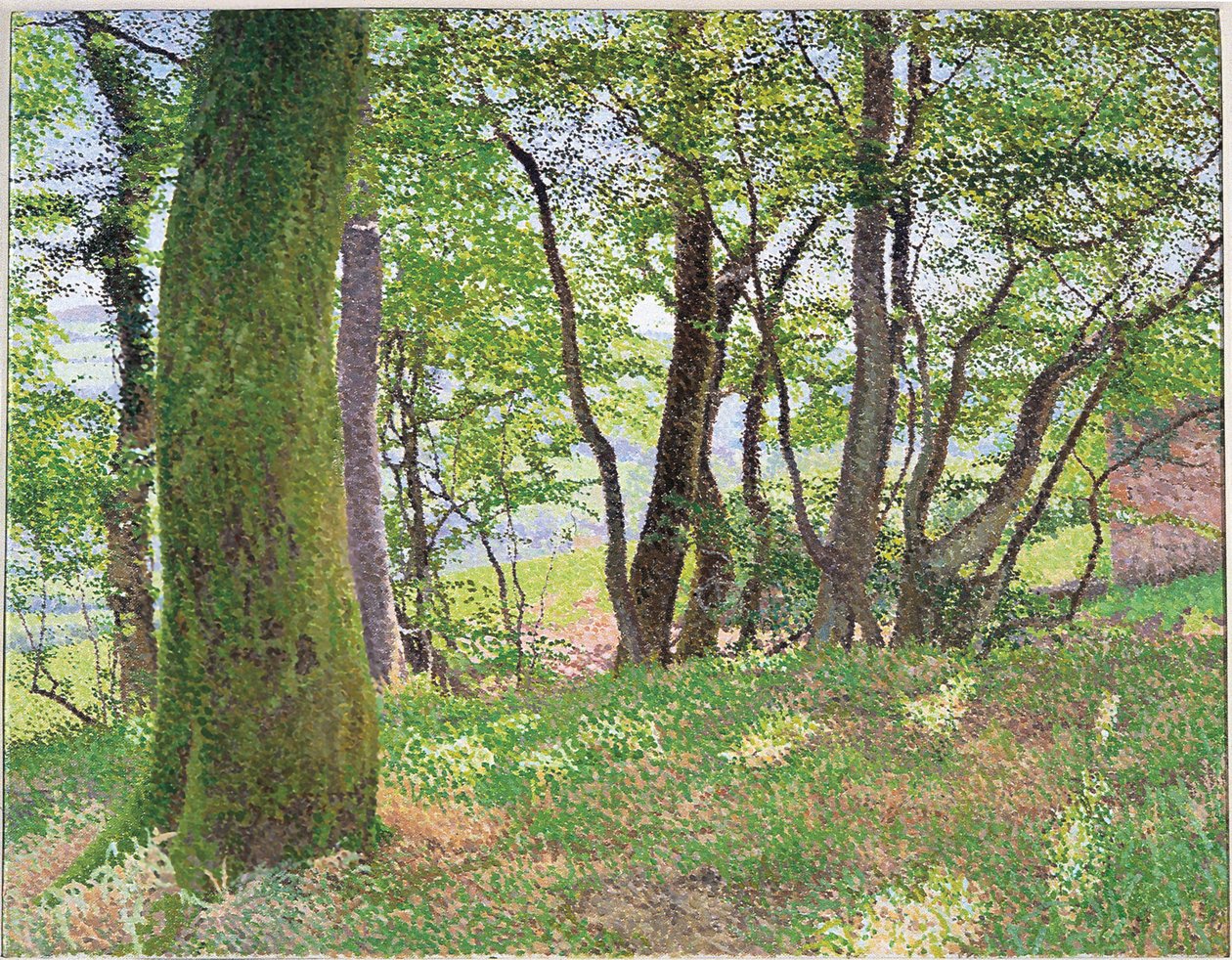 Carmarthenshire Öğleden Sonra by William Wilkins