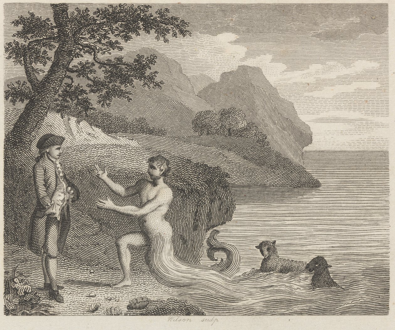 Saraylı ve Proteus by Wilson