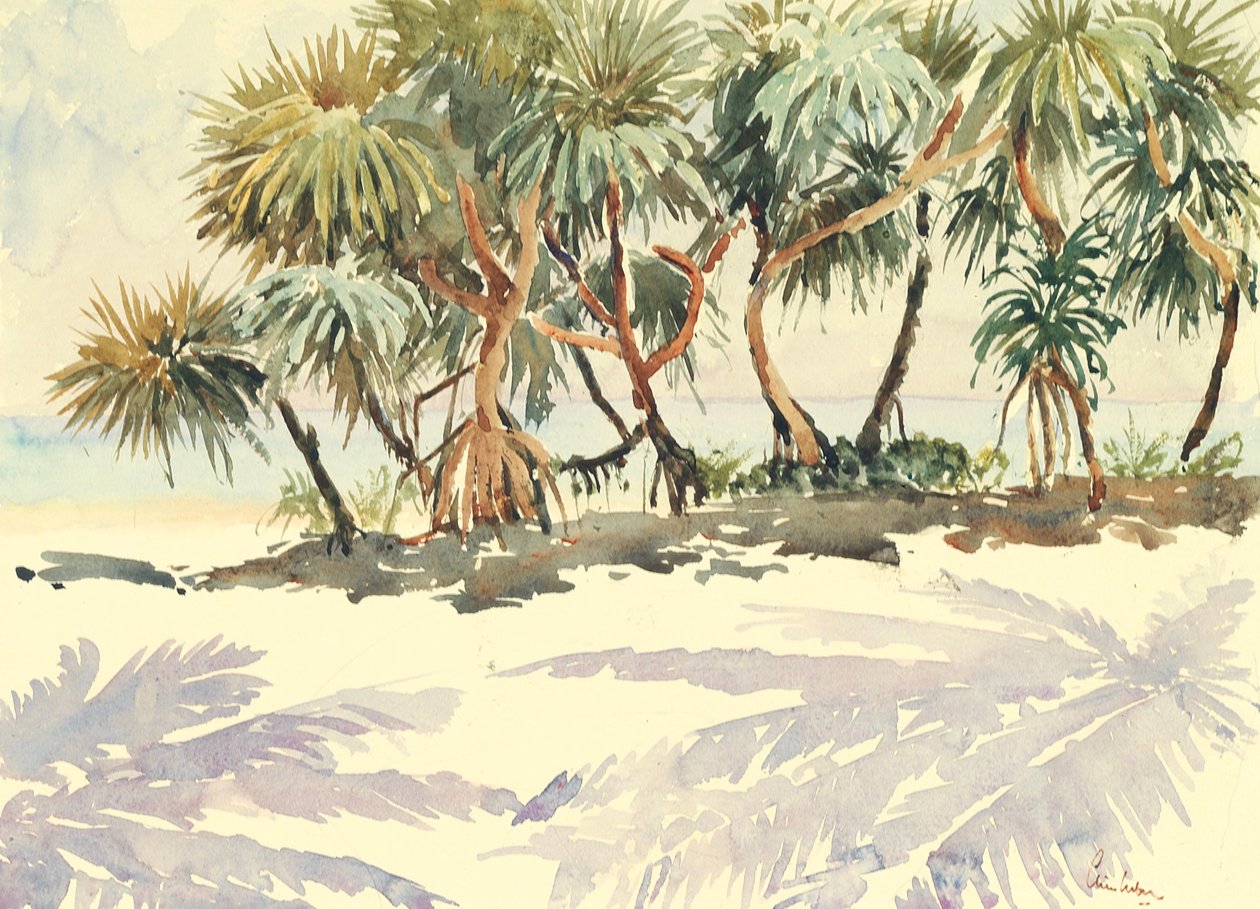 735 Saman ağaçları, Bentota by Wilson Clive