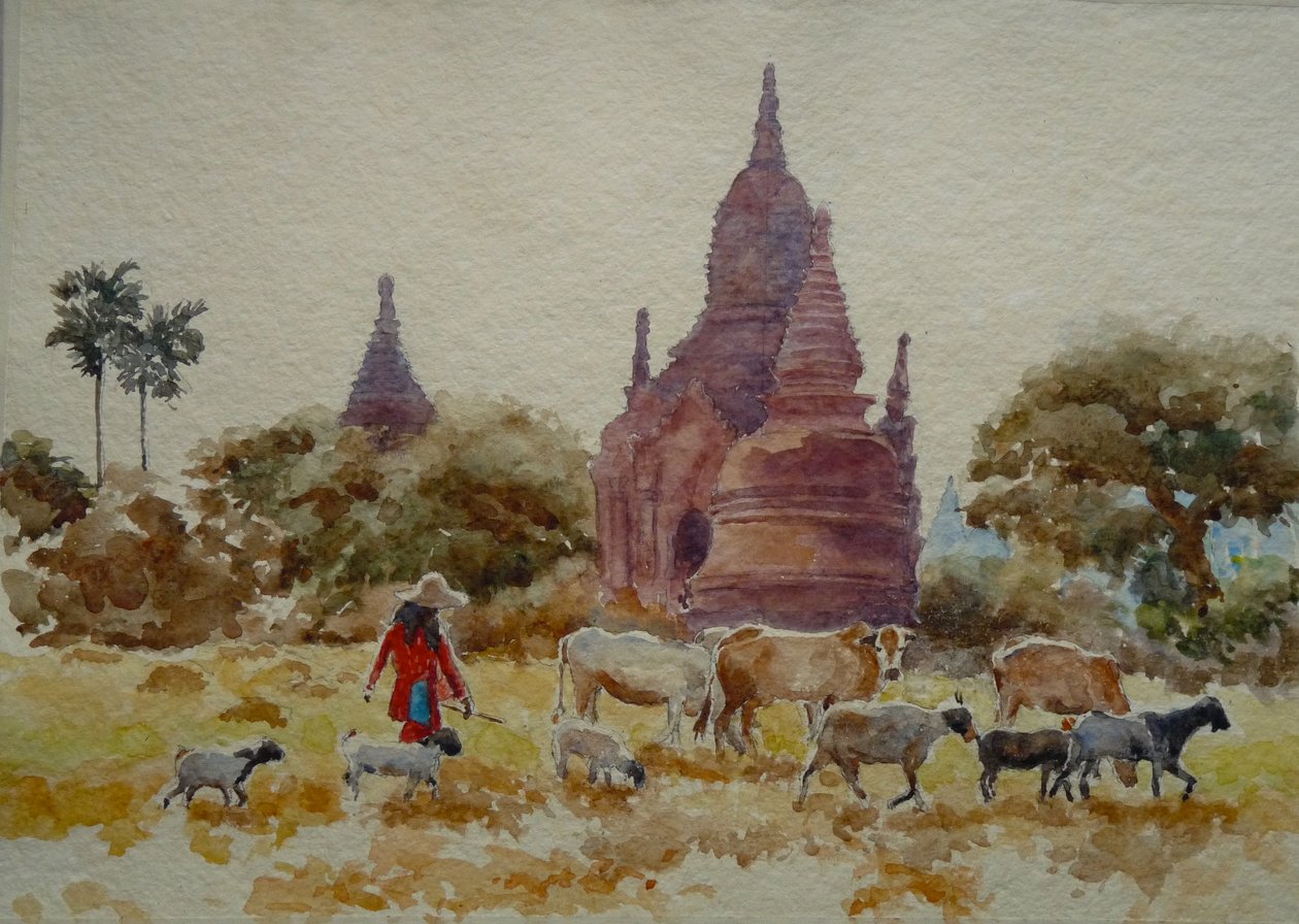 901 Bagan, tapınaklar arasında otluyor by Wilson Clive