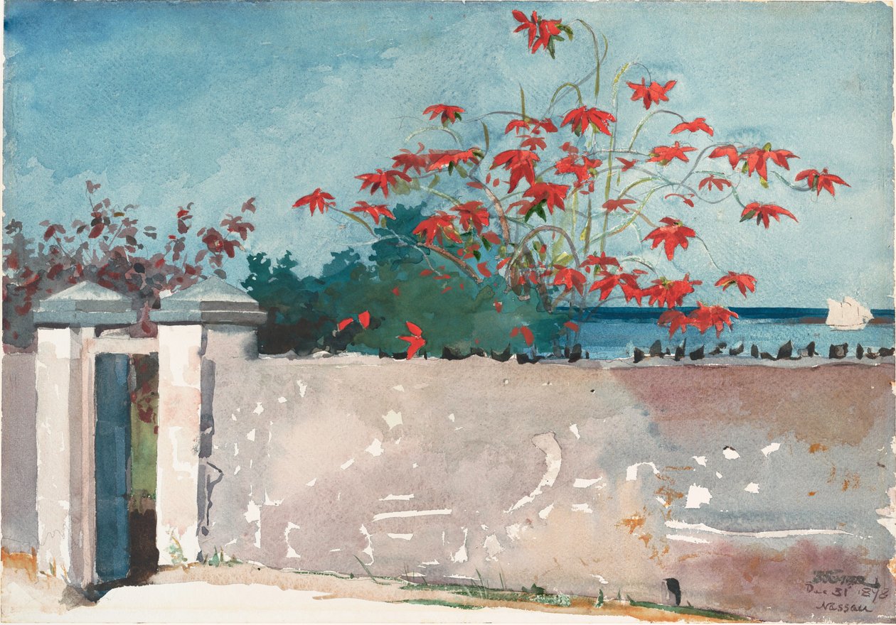 Bir Duvar, Nassau by Winslow Homer