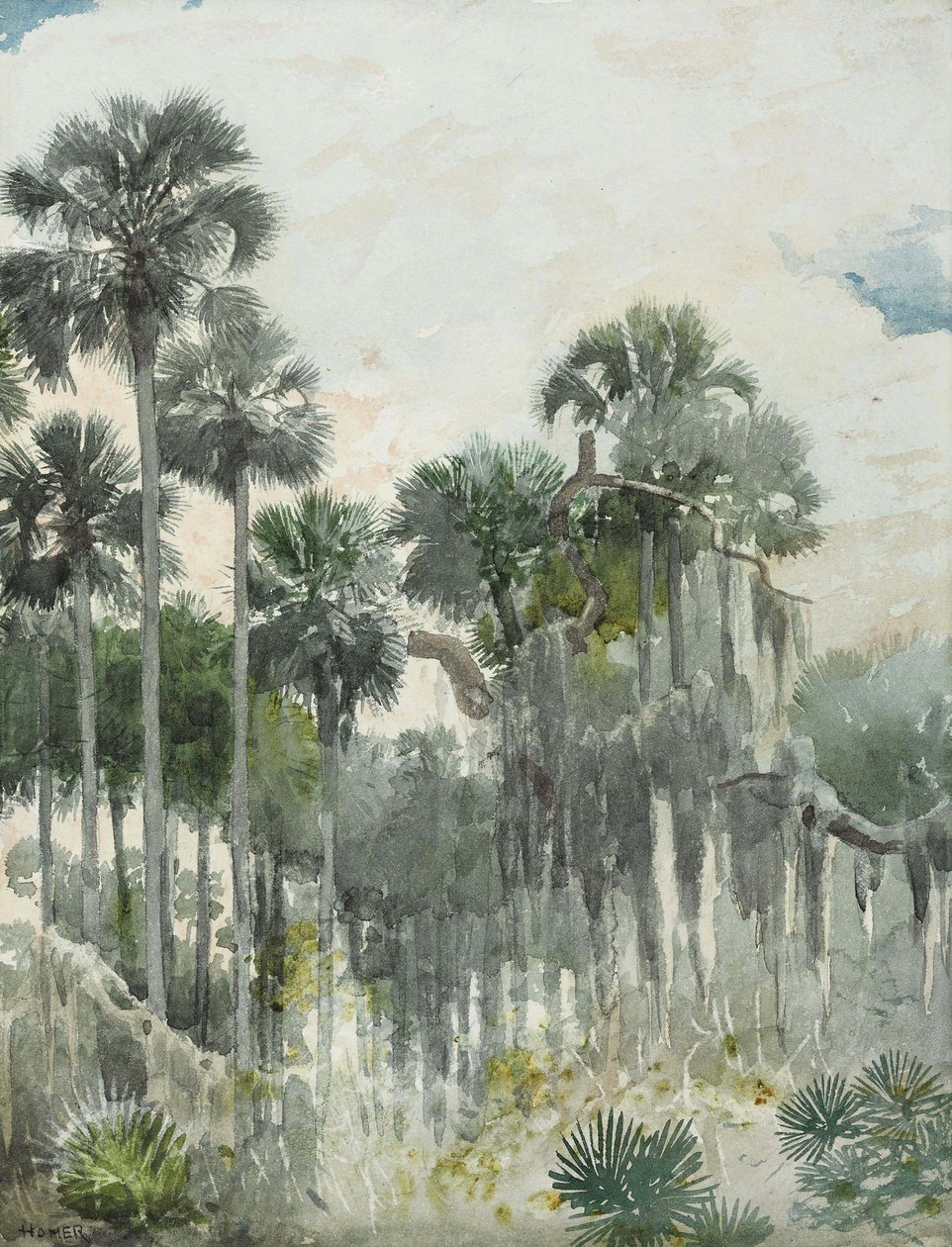 Florida Ormanı by Winslow Homer