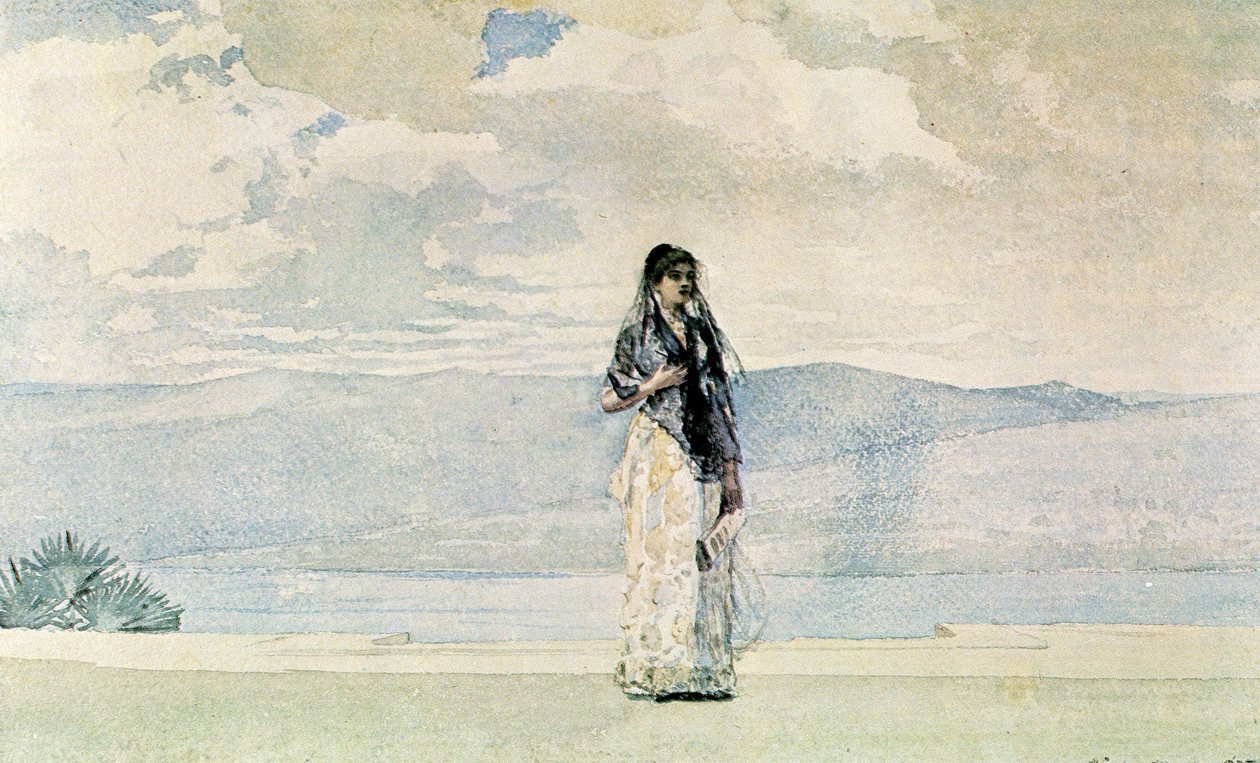 Vali Karısı by Winslow Homer