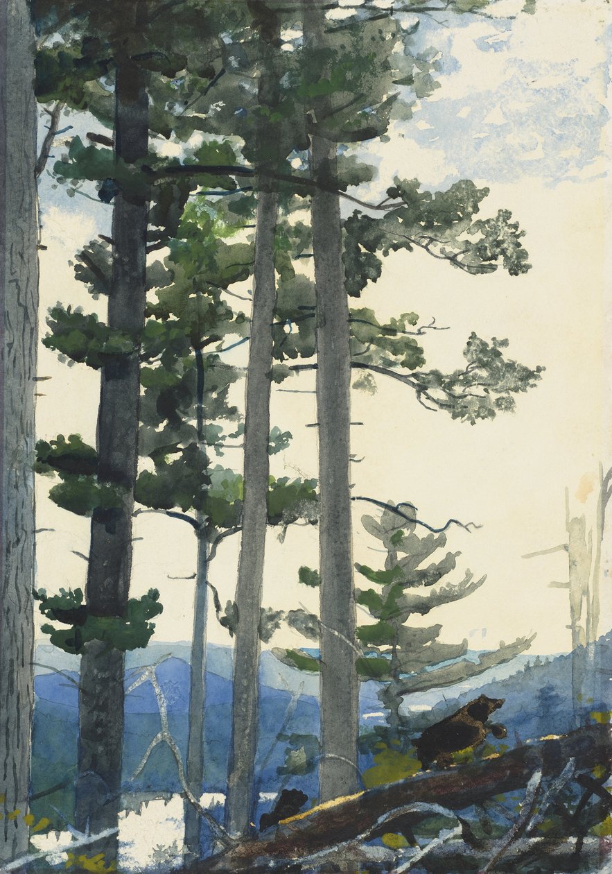 Eski Yerleşimciler by Winslow Homer