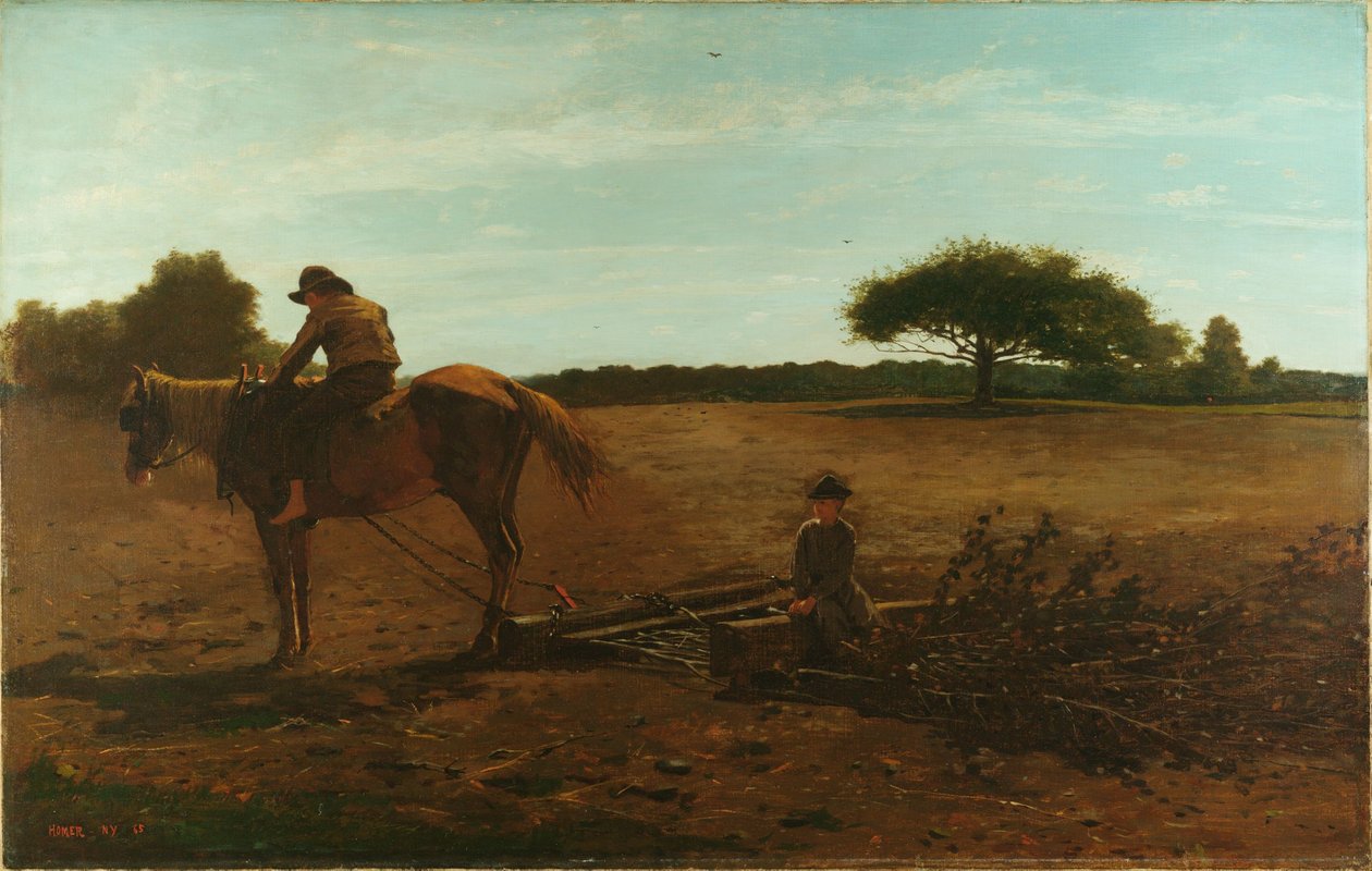 Fırça Tırmığı by Winslow Homer