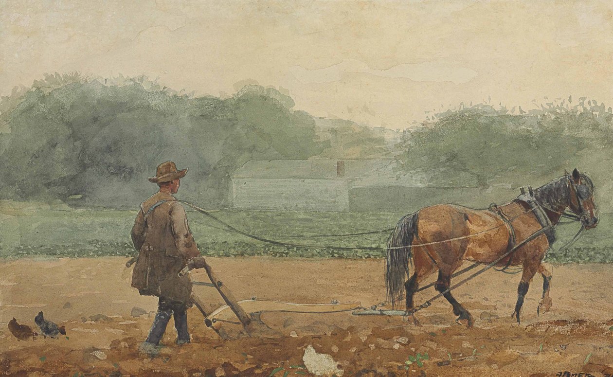 pullukçu by Winslow Homer