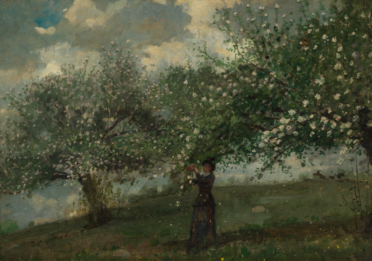 Elma Çiçeği Toplayan Kız by Winslow Homer