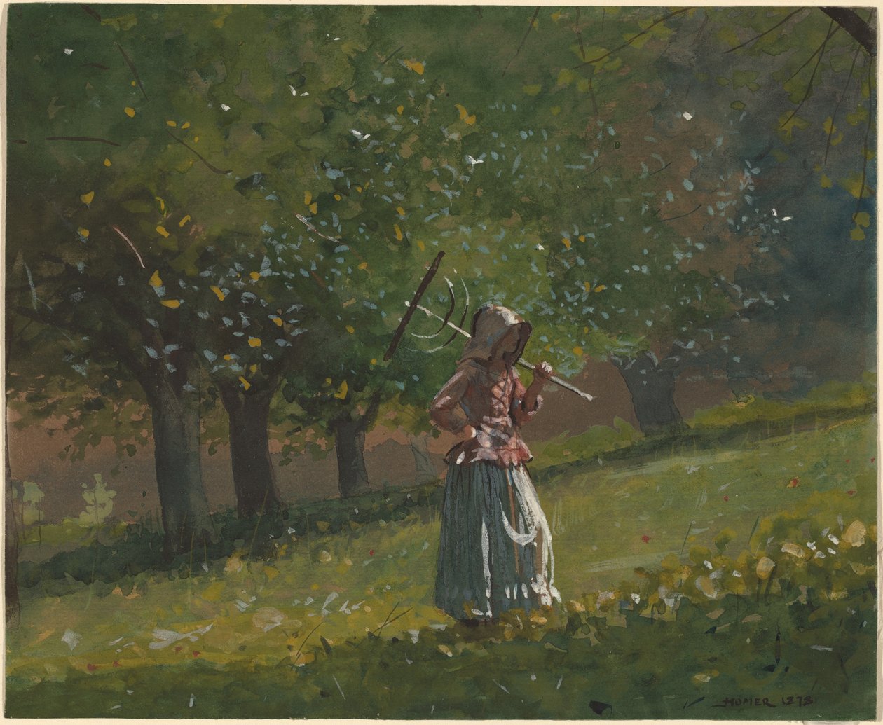 Saman tırmığı olan kız by Winslow Homer