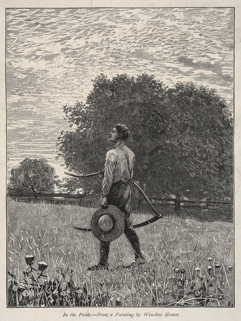 Alanlarında. by Winslow Homer