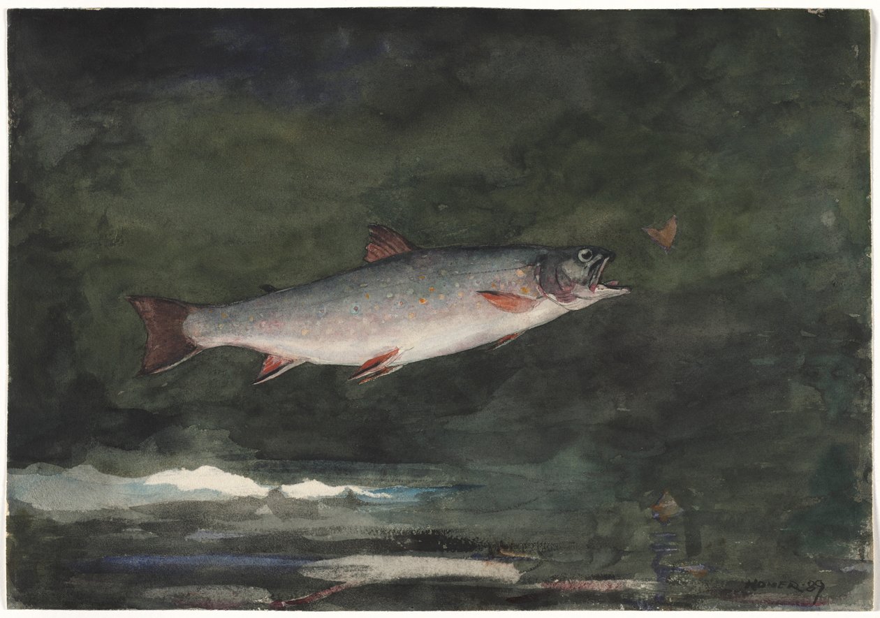 Sıçrayan Alabalık, 1889. by Winslow Homer