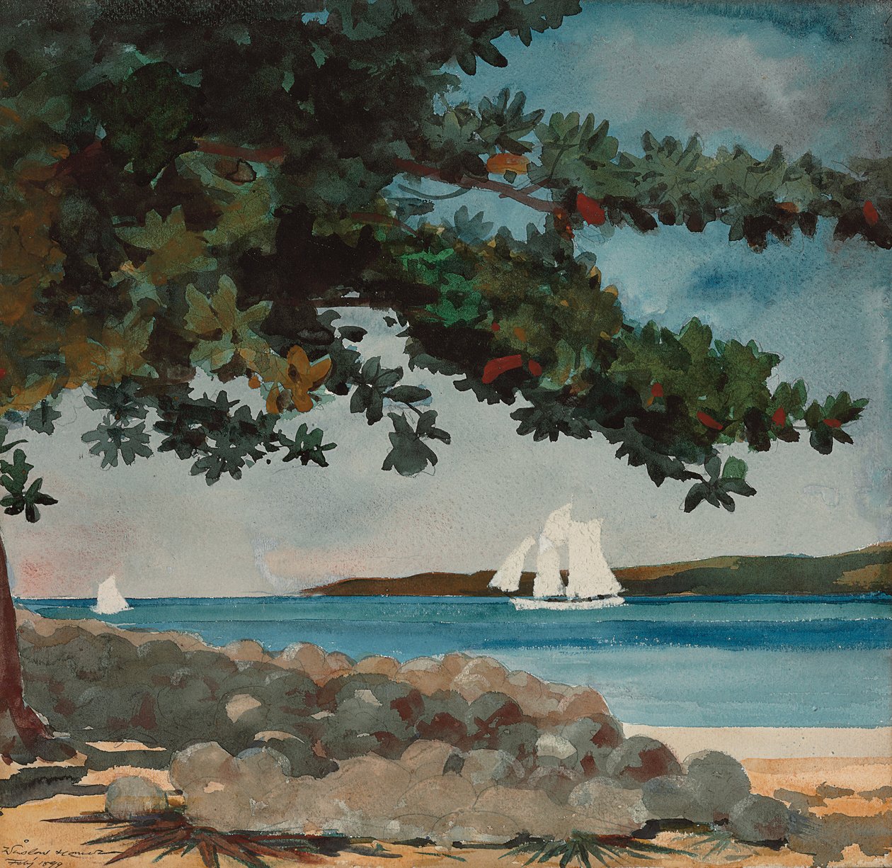 Nassau: Su ve Yelkenli, 1899 by Winslow Homer