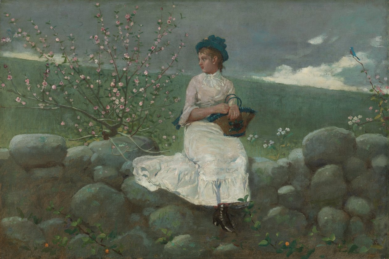 Şeftali Çiçekleri, 1878. by Winslow Homer